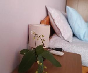 Malavi Square top center apartment! Comfort&clean! Rousse Bulgaria