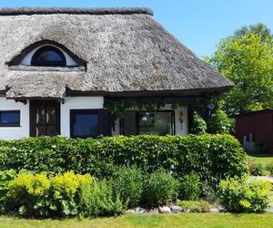 Reetdachhaus Schorsch Boergerende Germany