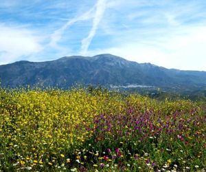 Angustias Torrox Spain