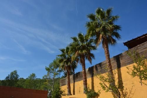 صورة الفندق 8