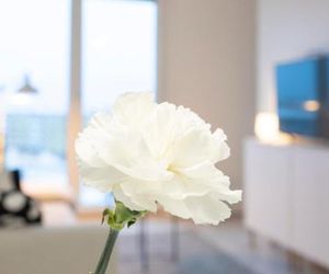 Tuomas´luxurious suites, Davvi Rovaniemi Finland