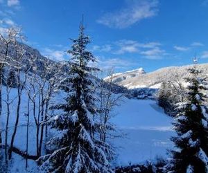 TARDEVANT 21 Le Grand-Bornand France