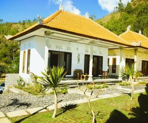 Bunbulan Penggit Bali Tulamben Indonesia