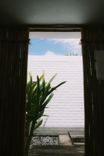 صورة الفندق 21