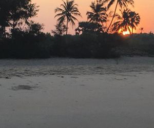 coconut Grove Varca India