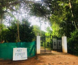 Art Forest Auroville India