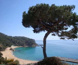 107512 - House in Canyelles Lloret de Mar Spain