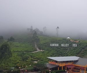 Peony Tea View @ KualaTerla Cameron Highlands@WiFi Cameron Highlands Malaysia