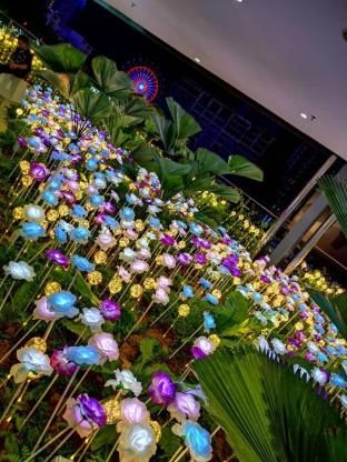صورة الفندق 6