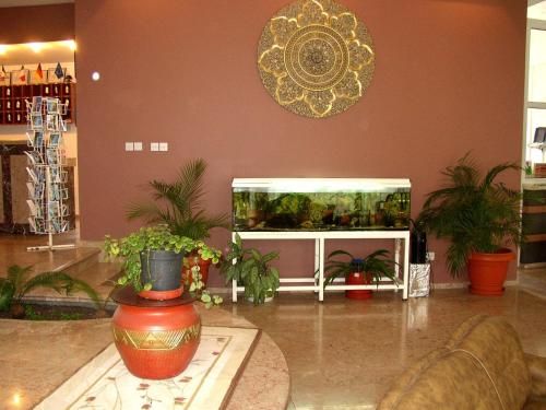 صورة الفندق 10