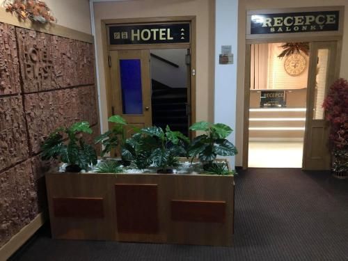 Hotel Photo 9