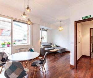 Apartamento con vistas al Estadio San Mamés Bilbao Spain