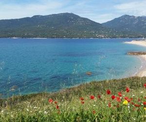 Studio T1 bis vue mer Propriano Propriano France