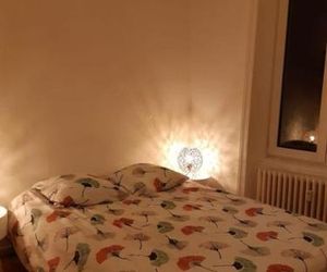 La Villa des Thermes Mont-Dore France