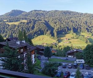 Studio le Grand-Bornand Village Le Grand-Bornand France
