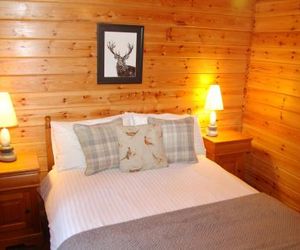 Cosy Rowan woodland lodge no3 Killin United Kingdom