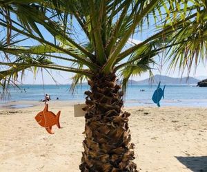 Beach cottage Flisvos ,St.George Naxos Town Greece