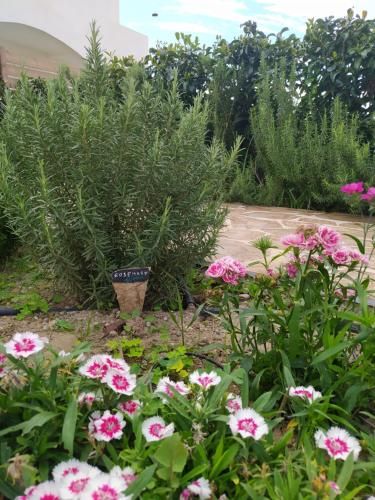 صورة الفندق 7