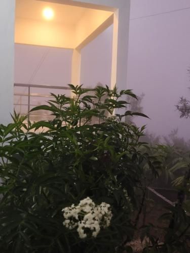 صورة الفندق 4