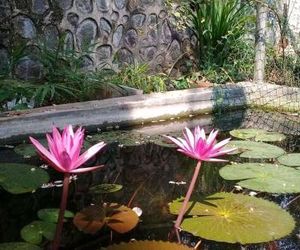 Hotel Paradiso, Unawatuna Sri Lanka