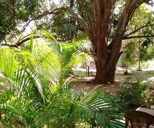 Hotel Sigiri Nature Garden Sigiriya Sri Lanka