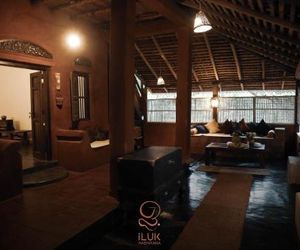 Iluk habarana Habarana Sri Lanka