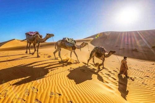 صورة الفندق 4