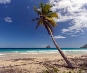 Appartement le Diamant à 15 mètres de la mer Le Diamant Martinique