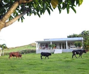 Létan Lontan Rodrigues Island Mauritius