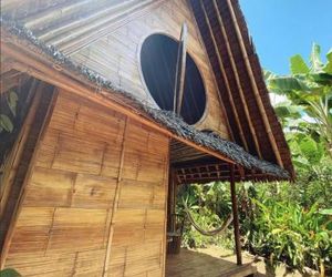 Jungle Hut - Private bamboo cabin & garden near Cambugahay Falls Lazi Philippines