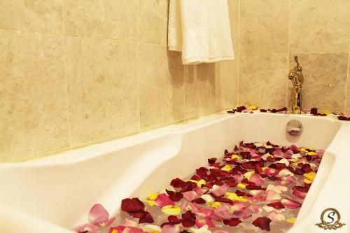 صورة الفندق 12