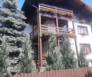 CASA BIGHIU Vatra Dornei Romania