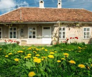 Gästehaus Fogarasch Fagaras Romania