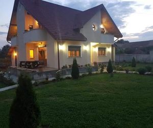 Vila Grecu Dezsan Romania