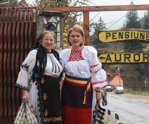 Pensiunea Aurora Albac Fata Romania