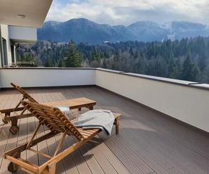 Silver Fox Residence Poiana Brasov Romania