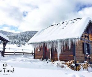 Vila Tornik Zlatibor Serbia