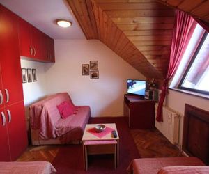 Studio Apartman Aleksandar Zlatibor Serbia