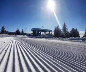 Apartman Brvenik 103, Konaci, Kopaonik Kopaonik Serbia