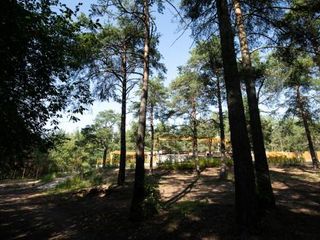 На реке Сестре 51