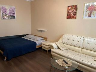 Апартаменты с видом на Неву