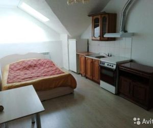 Квартира-студия Orenburg Russia