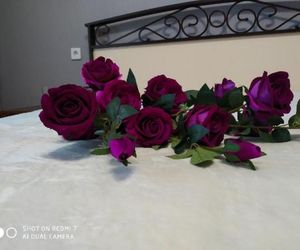 Шикарные апартаменты на Бульваре архитекторов Omsk Russia