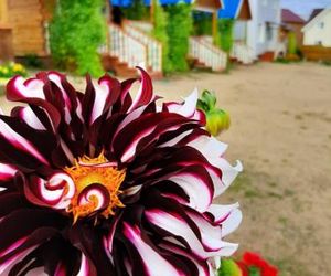 Sunrise Guesthouse Khuzhir Russia