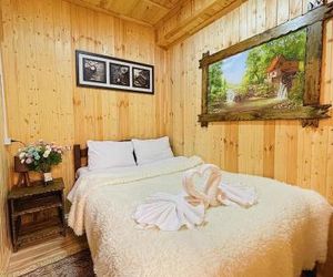 The_guest_house_maral Arkhiz Russia