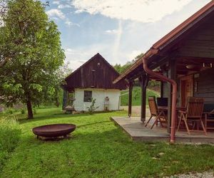 Srčna, a beautiful log cabin with amazing view Podcetrtek Slovenia