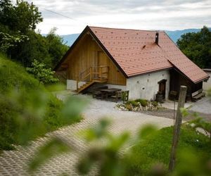 Vineyard cottage Škatlar 3 Otocec Slovenia