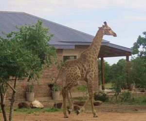Mkhiweni Villa at Dombeya Wildlife Estate Manzini Swaziland