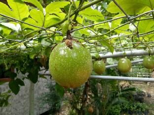 صورة الفندق 10