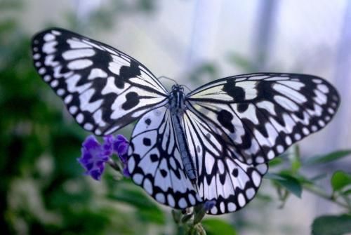 صورة الفندق 13